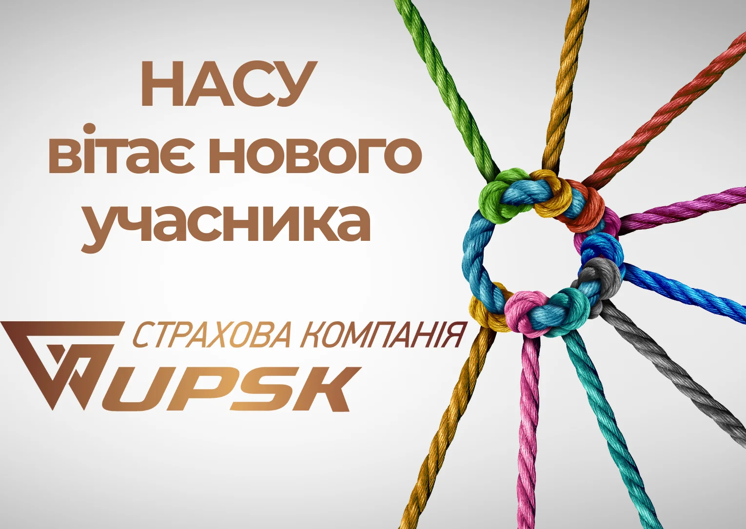 Розширення складу НАСУ